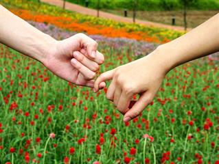 ایجاد بهترین دوستیها